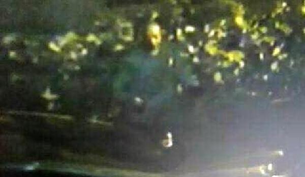 Avcılar'da 26 aracı kundaklayan kişi PKK sorumlusu çıktı