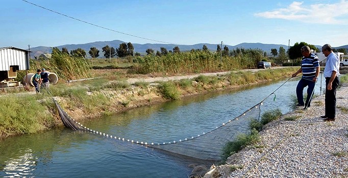 Uzak Doğu'dan sonra şimdi Türkiye'de...