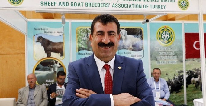 Türkiye’de koyun ve keçi sayısı 10 yılda 14 milyon arttı