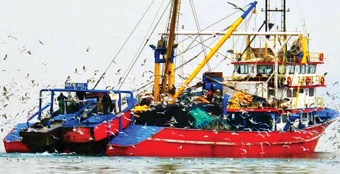 Bol balıkta son 20 gün