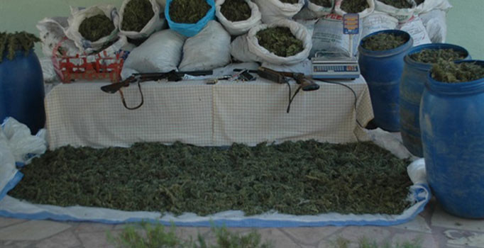 4 ilde dev uyuşturucu operasyonu:  2 ton esrar ile 70 kilogram bonzai ele geçirildi