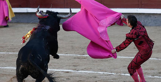 Katalonya'da boğa güreşi yasağı kaldırıldı