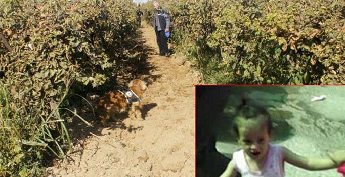 Manisa Alaşehir'de öldürülen küçük Irmak Kupal'ın kayıp cesedi bulundu | Son dakika haberleri