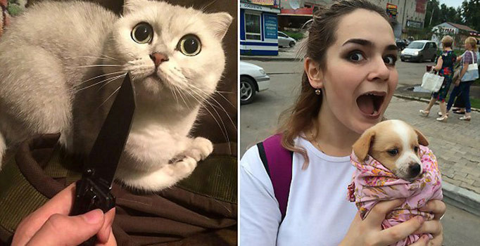 Sokak hayvanlarına işkence eden kızlar tutuklandı