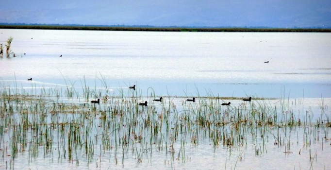 Çılgın projelerden Kızılırmak da nasibini alacak