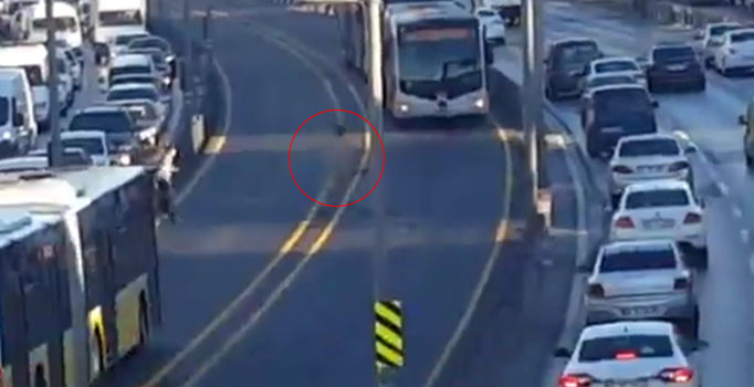 İstanbul Avcılar'da bir kişi çıplak halde metrobüsün önüne atladı