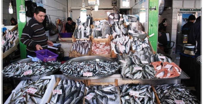 Üç tarafı deniz olan Türkiye'nin balıkları "tükeniyor"