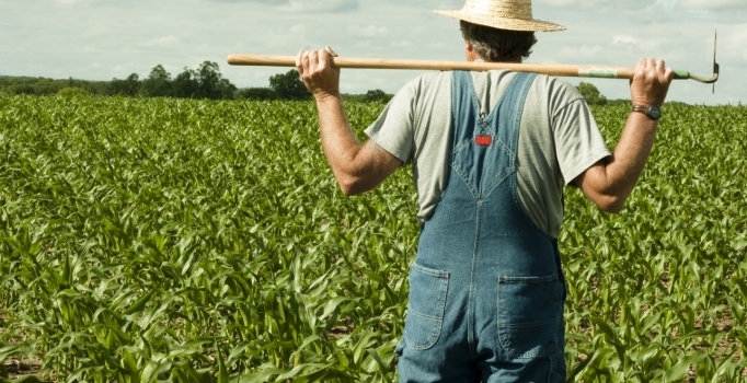 "Genç Çiftçi Hibe Destek Programı"