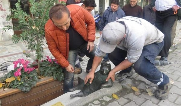 Tombili'nin heykeli yerine konuldu