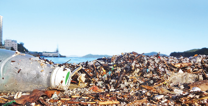 Deniz mahsülü diye plastik yiyoruz