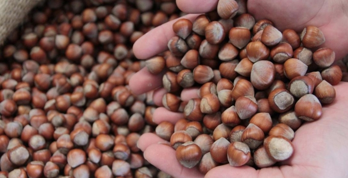 FİSKOBİRLİK 2016 ürünü alımlarına başladı