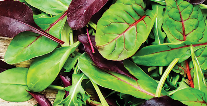 Enfeksiyon riski 2 bin 400 kat fazla