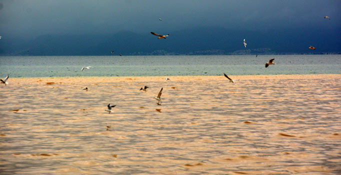 Edremit Körfezi'nde denizin rengi değişti