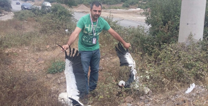 Dilovası'ndaki zehirli 
atıklar leylekleri öldürdü
