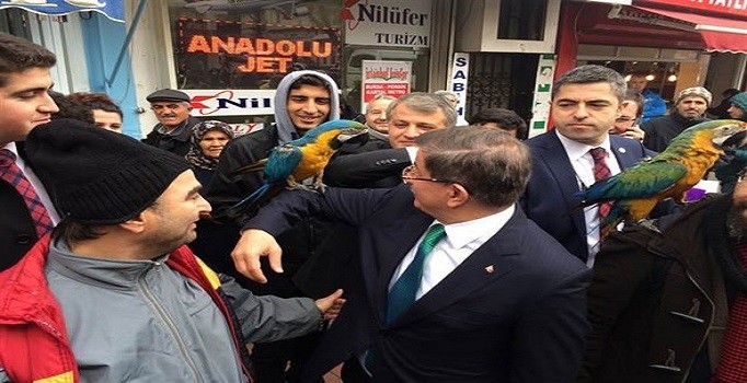 Davutoğlu papağanlar yüzünden zor anlar yaşadı