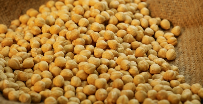 Türkiye fındık ihracatından 1.5 milyar dolar kazandı