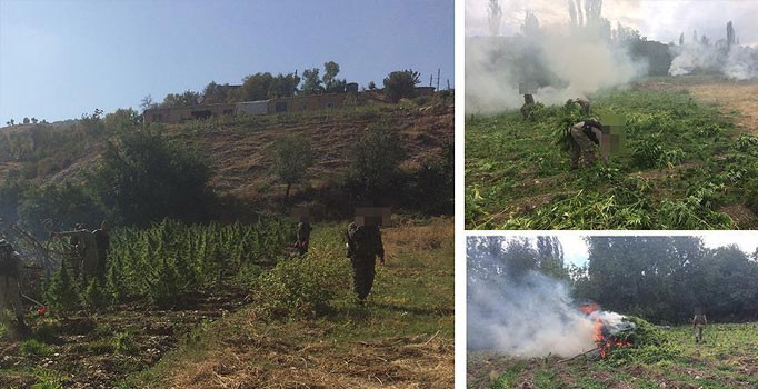 Terörün finans kaynağı uyuşturucuya Lice'de büyük darbe vuruldu