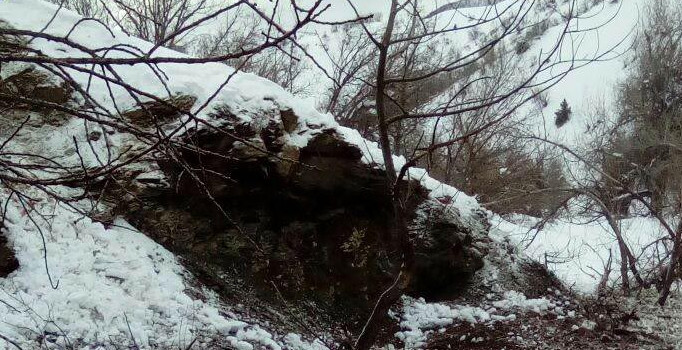 Tunceli'de araziye yerleştirilen patlayıcı güvenlik güçlerince imha edildi
