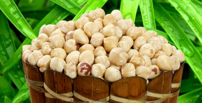 Karatay'dan yeni tavsiye: Her öğünde fındık yiyin