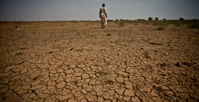 Kıtlık gelecek nesillerin metabolizmasını etkiliyor