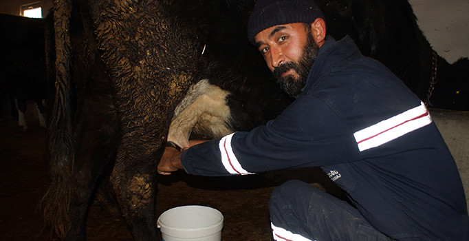 İşte gerçek mandra filozofu: Finans müdürlüğünü bırakıp köy yaşantısını seçti