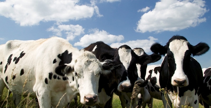 AB ülkelerinden et 
ithalatında vergi sıfırlandı