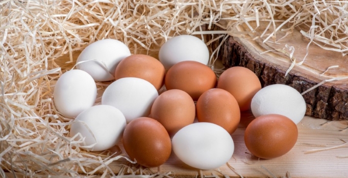 Yumurta fiyatlarını kuş gribi vakasının olmaması yükseltmiş