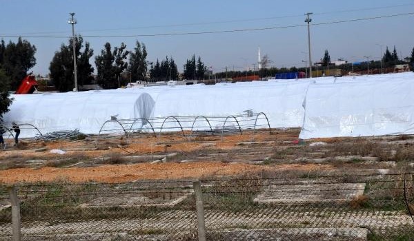 Halep’ten gelenler için Türkiye'de de kamp kuruluyor