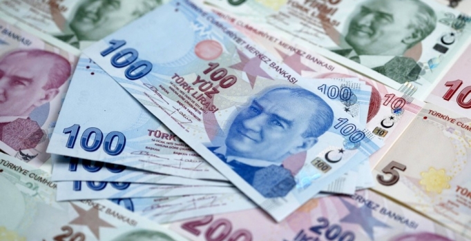 "TL'nin değer kaybı sorun değil, sağlıklı bir gelişme"