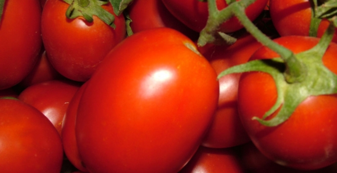 Putin'in Türkiye'ye yaptırımları Rusları ayaklandırdı