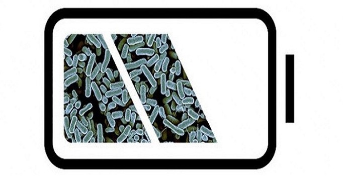 Bilim adamları bakteriden batarya üretti