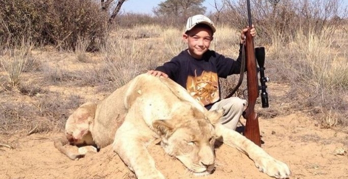 Yedi yaşındaki çocuk 
ölü aslanla poz verdi