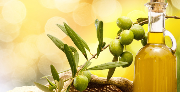 Zeytinyağında düşük fiyat umudu yeni sezona kaldı