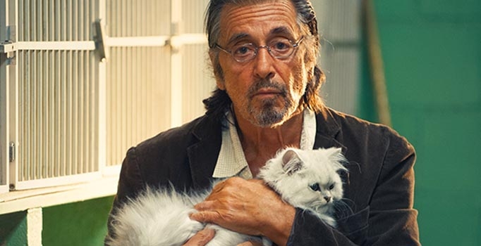 Bu hafta sinemalarda 7 farklı film gösterime giriyor