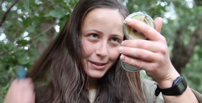 BBC'den PKK savunması