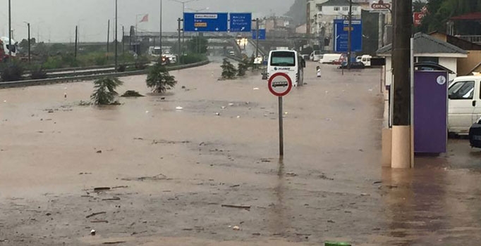 Hopa'dan yetkililere: 
Yardım edin