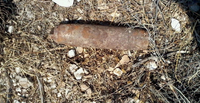 Didim'de patlamamış 
top mermisi bulundu