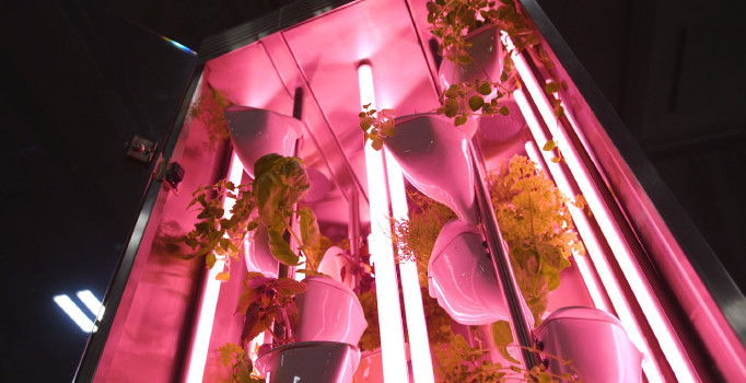 NATUFIA: Evinde sera kurmak isteyenler için özel çözüm