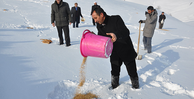 Muş Korkut'da imam İbrahim Özkaya hayvanları aç bırakmadı