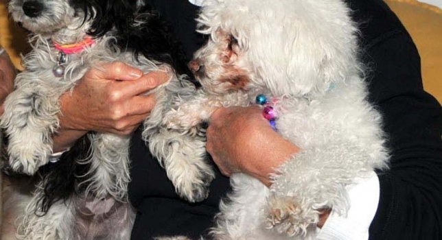 Sürekli öldüğümü söyleyerek ömrümü uzatıyorlar