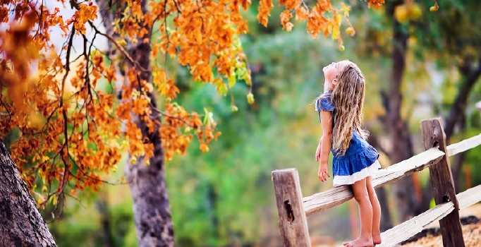 Küresel ısınma 'kartpostallık' günlere son verebilir