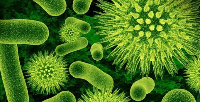 Geleceğin potansiyel virüs salgınları açıklandı