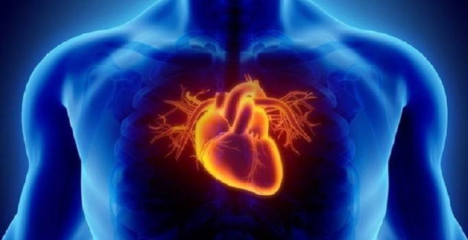 Kalp atışlarına yardımcı esnek robot üretildi