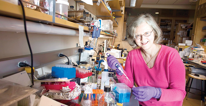 Gençliğin sırrı 7 saatlik uykuda