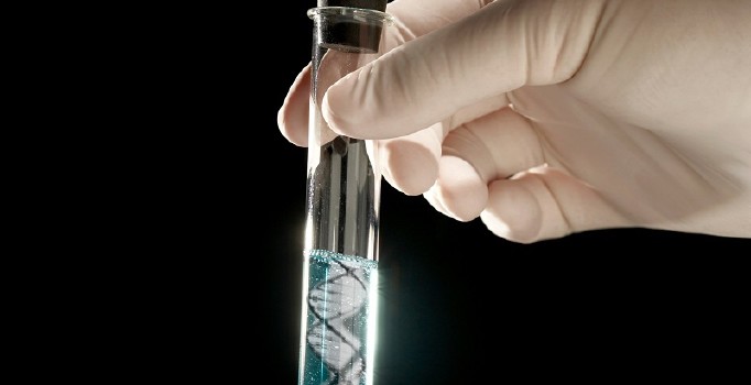 Bilim adamları 'yarı-sentetik' organizma geliştirdi