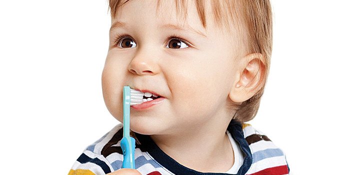 Diş fırçasını kapalı ortamda saklayın