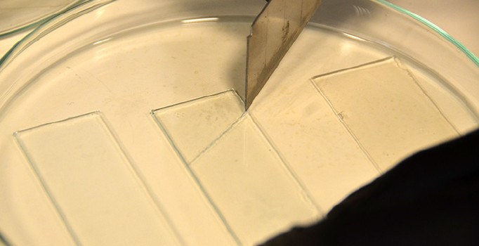 Türk bilim adamları kendini yenileyen malzeme geliştirdi