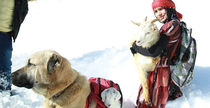 Sosyal medyanın yıldızı Hamdu Sena: Hayvanları çok seviyorum