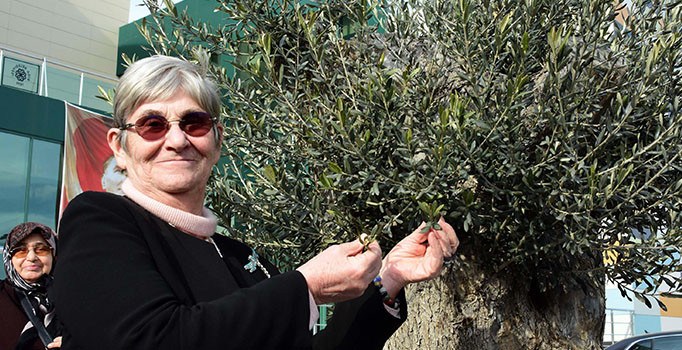 Canan Karatay'dan şeker uyarısı: Uzak durun kurtulun