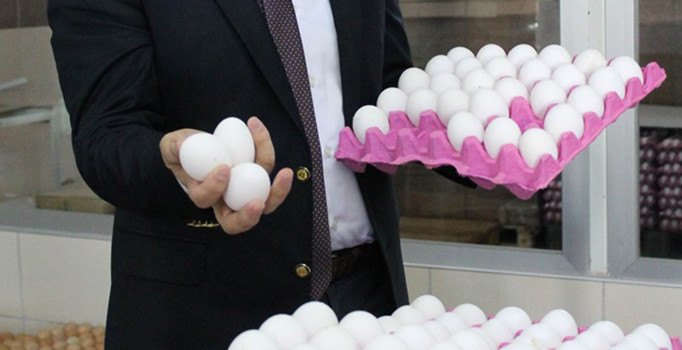 Yumurtada 'gezen tavuk' aldatmacası